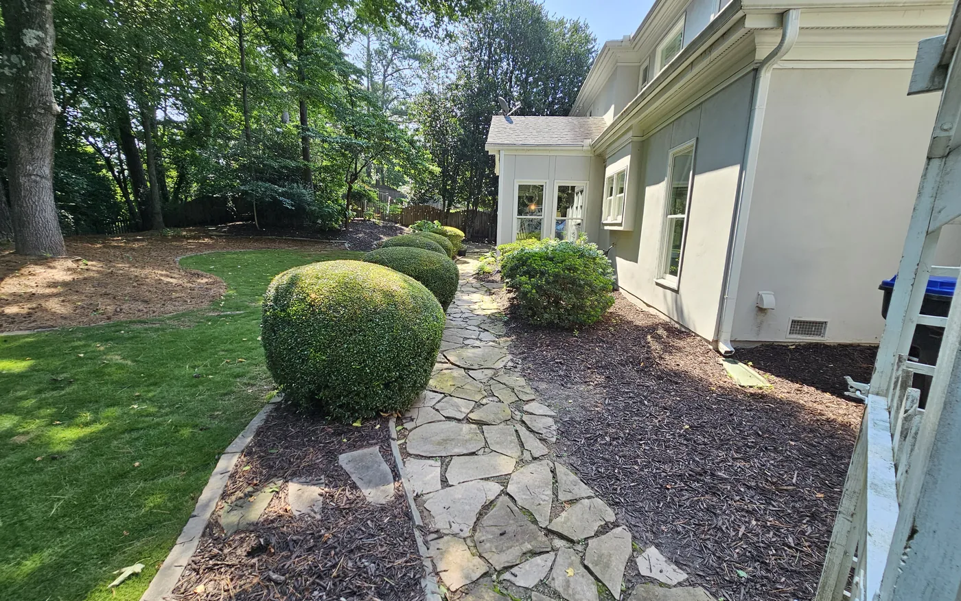 Alpharetta backyard before renovation, tired flagstone path and overgrown shrubs