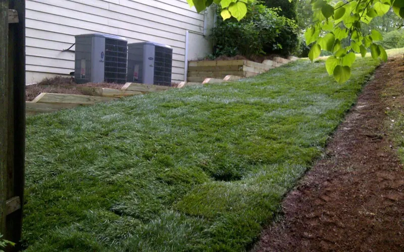 Sod Installation by 4 Seasons Landscaping
