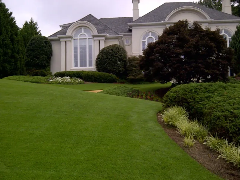 Landscape design and planting project by 4 Seasons (photo 1)