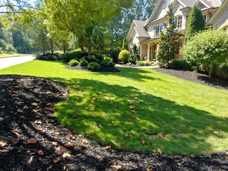 Landscape design and planting project by 4 Seasons (photo 13)