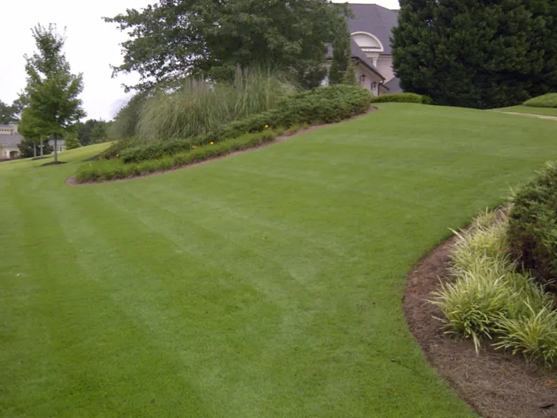 Landscape design and planting project by 4 Seasons (photo 2)
