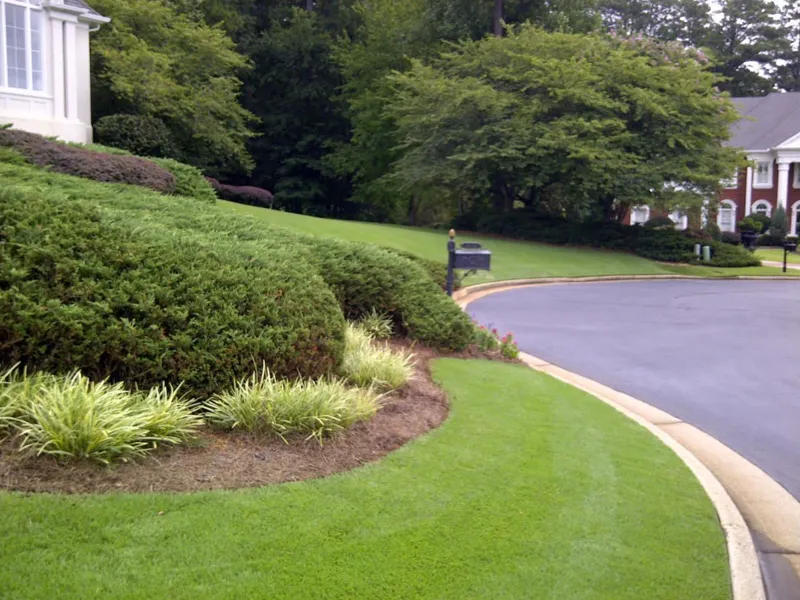 Landscape design and planting project by 4 Seasons (photo 3)