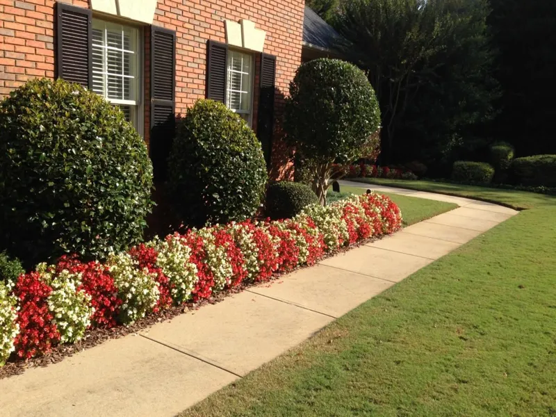 Landscape design and planting project by 4 Seasons (photo 7)